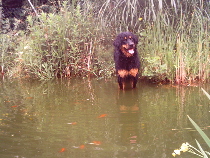 Img00062