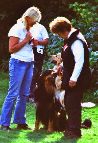 imm005_7A